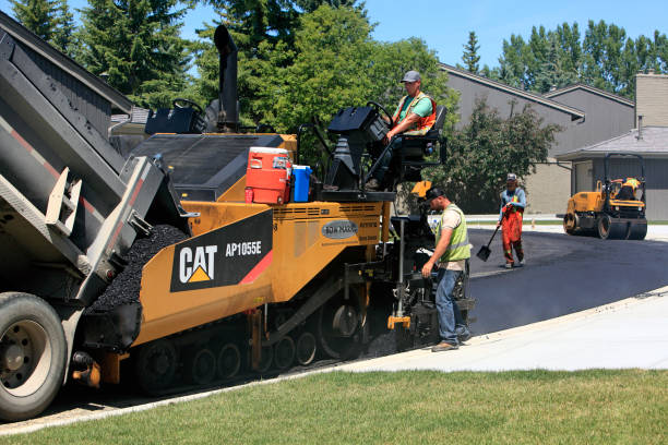 Best Residential Driveway Paver Services  in Tarpon Springs, FL